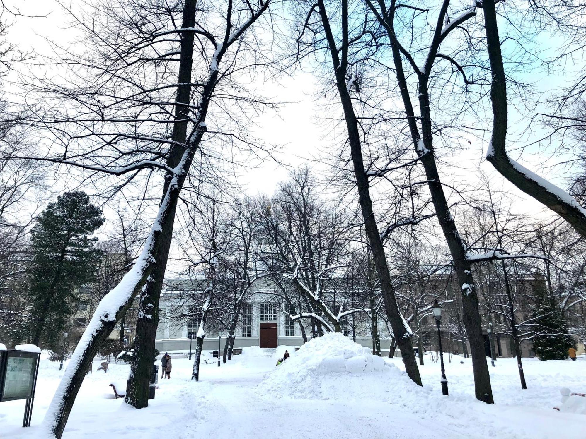 Scandinavian Home 21 In Heard City Helsinki Bagian luar foto
